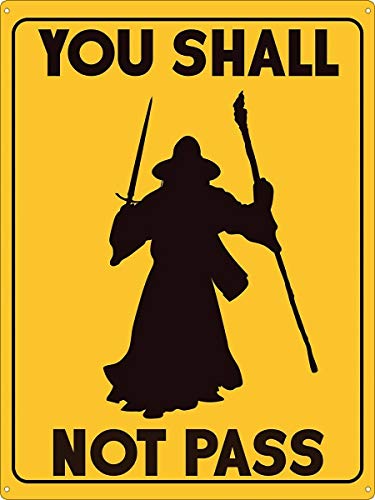 Licpact Blechschild You Shall Not Pass Metallschild 30,5 x 20,3 cm von Licpact