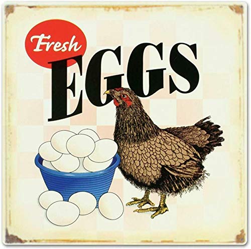 Licpact Blechschild mit Aufschrift "Fresh Eggs Henne Huhn", 30,5 x 30,5 cm, quadratisch von Licpact