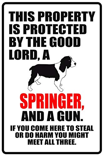Licpact Blechschild mit Aufschrift "This Property is Protected by The Good Lord A Springer", 30,5 x 20,3 cm Licpact Blechschild mit Aufschrift "This Property is Protected by The Good Lord A Springer", 30,5 x 20,3 cm von Licpact