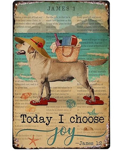 Strandschild Metallschild Bibel Strand Leben Freude Labrador Retriever Blechschild Metallschild Poster Bar Bistro Coffee Shop Wanddekoration Retro Metallplatte 30,5 x 20,3 cm von Licpact