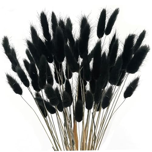 Faux Pampas Gras, 60pcs 17 Simulation Boho Blumen für Home Wedding DIY Craft Decor (schwarz) von Licsaliwe
