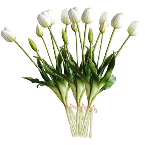 Licsaliwe 3 Blumensträuße künstliche Tulpen, pu echte Berührung Blumen für Tisch Wohnzimmer Schlafzimmer Lust auf Wartungdekoration Licsaliwe 3 Blumensträuße künstliche Tulpen, pu echte Berührung Blumen für Tisch Wohnzimmer Schlafzimmer Lust auf Wartungdekoration von Licsaliwe