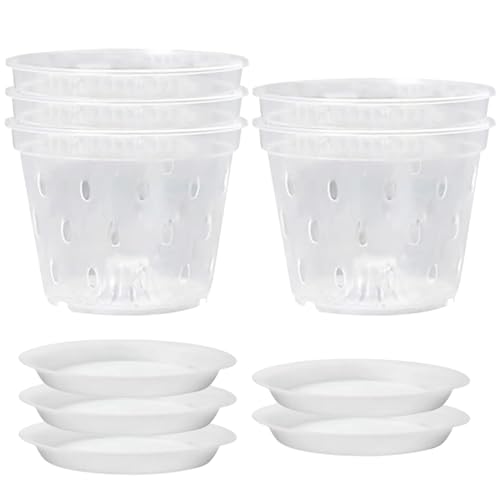 Licsaliwe 5 Orchid -Topf einstellen, plastische klare Kindergarten -Töpfe mit Löchern und Tablett für Innenräume, Außenpflanzen/ 6.7x6.7x4.4 Licsaliwe 5 Orchid -Topf einstellen, plastische klare Kindergarten -Töpfe mit Löchern und Tablett für Innenräume, Außenpflanzen/ 6.7x6.7x4.4 von Licsaliwe