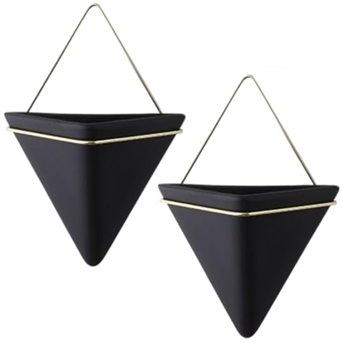 Licsaliwe Keramikwand Pflanzer mit Metallrahmen, 2pcs geometrische Hangetopf für saftige Luftpflanze Mini Cactus Innendekoration von Licsaliwe