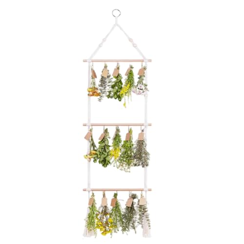 Licsaliwe Kräutertrocknungsregal hängen, 3 Ebenen Baumwollseil Rack 48x14 Zoll mit 15 Haken, für Blumengrasentrocknen Licsaliwe Kräutertrocknungsregal hängen, 3 Ebenen Baumwollseil Rack 48x14 Zoll mit 15 Haken, für Blumengrasentrocknen von Licsaliwe
