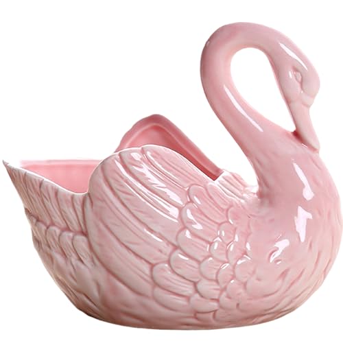 Licsaliwe Schwan -Pflanzer, süßer Keramik -Sukkulenten -Pflanzentopf, eleganter Blumentopf für Home Office Decor (Style 2) von Licsaliwe