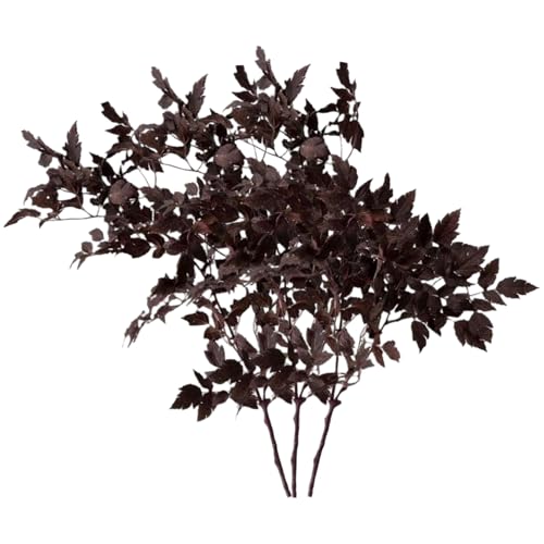 Licsaliwe Seiden Cimicifuga -Stängel, 3pcs Faux Herbstblattzweige für Vase Mantel Bauernhaus Hochzeitshäuser/ 18 Zoll Licsaliwe Seiden Cimicifuga -Stängel, 3pcs Faux Herbstblattzweige für Vase Mantel Bauernhaus Hochzeitshäuser/ 18 Zoll von Licsaliwe