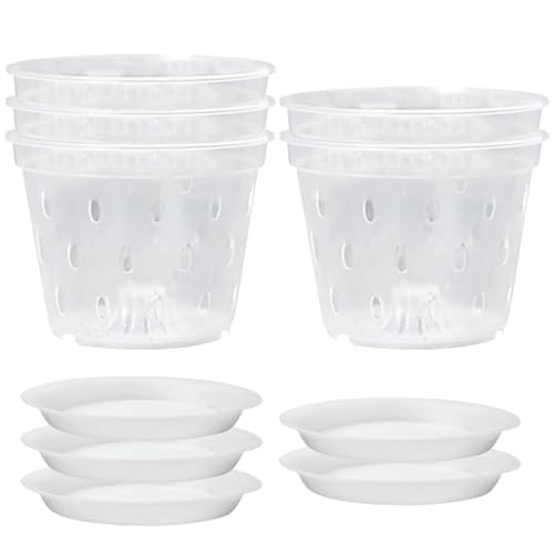 Licsaliwe Transparente Orchideentöpfe, 5 gesetzte Kunststoff atmungsaktive Pflanzentöpfe mit Löchern für das Repotten in Innenräumen/6 Zoll von Licsaliwe