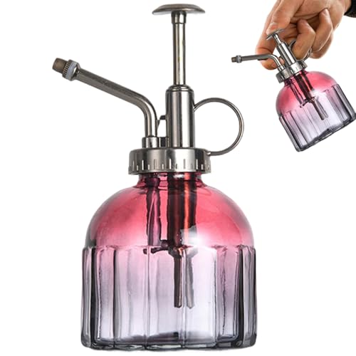 Licsaliwe Vintage Plant Mister Spray Flasche, 200 ml mit Bronzepumpe für Orchidee, Sukkulente, Hauspflanzen (Stil 1) von Licsaliwe