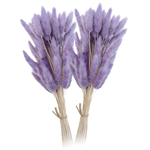 Pampas Grass Decor, 120 Stück Lavendel getrocknete Hasenschwänze für Bauernhaus zu Hause, Schlafzimmer, Hochzeitstischdekor/19, 7 Zoll Pampas Grass Decor, 120 Stück Lavendel getrocknete Hasenschwänze für Bauernhaus zu Hause, Schlafzimmer, Hochzeitstischdekor/19, 7 Zoll von Licsaliwe