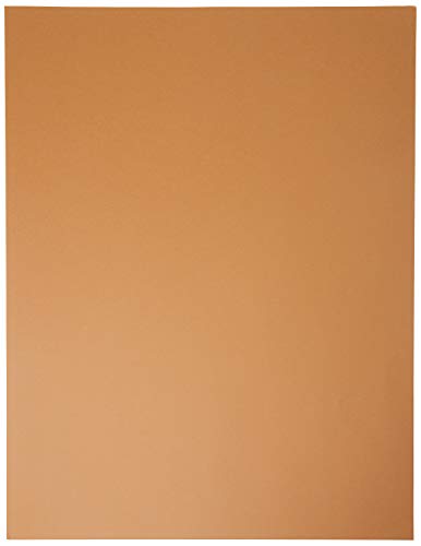 Liderpapel CT47 Karton, 50 x 65 cm, Braun, 25 Stück von Liderpapel