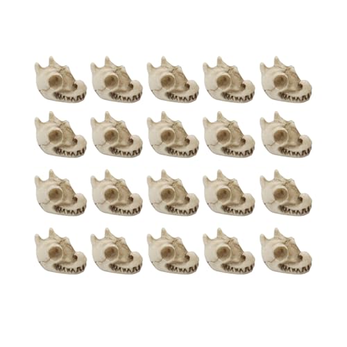 Lieawy Dekorative Steine Für Vasen | Drachenknochenförmige Deko Kiesel - Kunstharz Deko 20 Stück Für Innen Außen Aquarium Landschaftsbau Basteln Lieawy Dekorative Steine Für Vasen | Drachenknochenförmige Deko Kiesel - Kunstharz Deko 20 Stück Für Innen Außen Aquarium Landschaftsbau Basteln von Lieawy