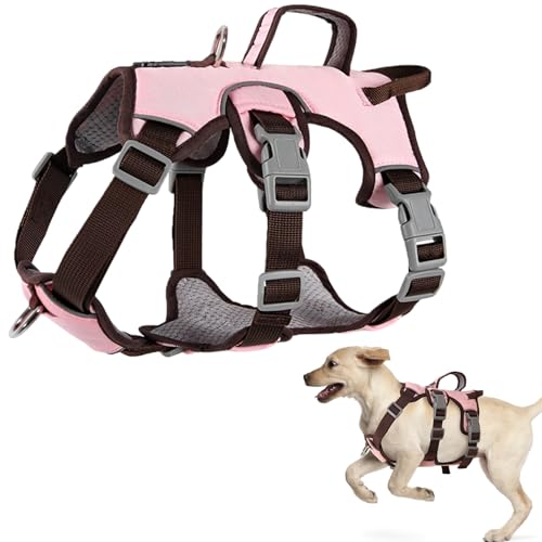 LiebeDD Geschirr Hunde Mittel, Sicherheitsgeschirr Hund Ausbruchsicher, Y Hundegeschirr Gepolstert mit Griff, Anti Zug Hundegeschirr für Mittelgroße Kleine Hunde und Welpen (Rosa, M) von LiebeDD