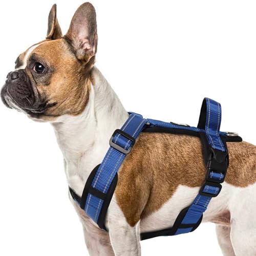 LiebeDD Hundegeschirr, Brustgeschirr Hund Mittel Groß Verstellbar Reflektierend Anti Zieh Hunde Geschirr Französische Bulldogge Hund Zuggeschirr Dog Harness, Blau, XL LiebeDD Hundegeschirr, Brustgeschirr Hund Mittel Groß Verstellbar Reflektierend Anti Zieh Hunde Geschirr Französische Bulldogge Hund Zuggeschirr Dog Harness, Blau, XL von LiebeDD
