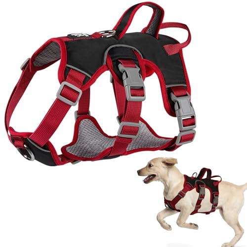 LiebeDD Hundegeschirr, Sicherheitsgeschirr Hund Ausbruchsicher, Brustgeschirr Gepolstert mit 2 Griff und 2 Leinenclips, Anti Zug Geschirr für Mittelgroße Kleine Hunde Welpen (Schwarz, L) von LiebeDD