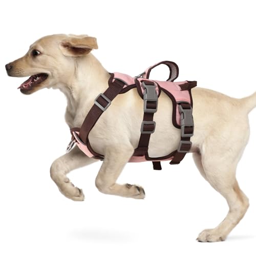 LiebeDD Hundegeschirr, Sicherheitsgeschirr Hund Ausbruchsicher, Y Brustgeschirr Gepolstert mit Griff, Anti Zug Hundegeschirr für Mittelgroße Kleine Hunde und Welpen (Rosa, L) von LiebeDD