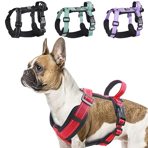 LiebeDD Hundegeschirr Rot M - Brustgeschirr Hund Klein Reflektierend Anti Zieh Hunde Geschirr Hund Zuggeschirr Gepolstert mit Griff Dog Harness für Welpen Kleine und Mittelgroße Hunde von LiebeDD