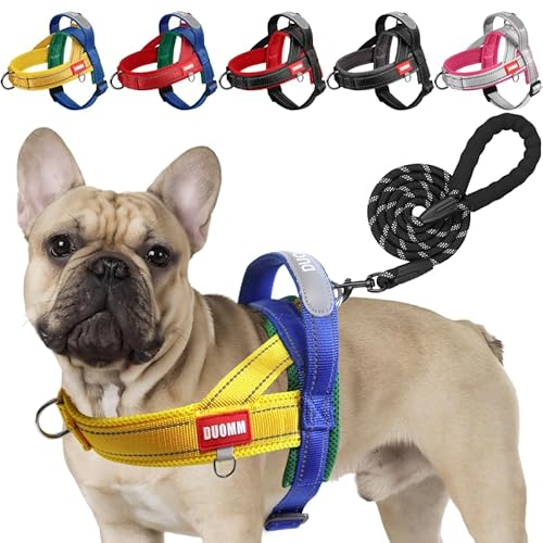 LiebeDD Hundegeschirr mit Leine für Mittelgroße Kleine Hunde Welpen, Bunt Farbblock Geschirr, Mesh Gepolstert Brustgeschirr Hund mit Griff und Brustring, Reflektierend & Leicht, GelbBlau, L von LiebeDD