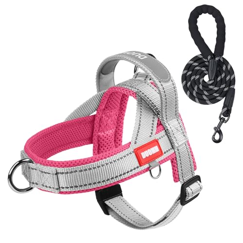 LiebeDD Hundegeschirr mit Leine für Mittelgroße Kleine Hunde Welpen, Bunt Farbblock Geschirr, Weich Gepolstert Sicherheitsgeschirr Hund mit Griff, Reflektierend & Leicht, Grau+Rosa, S von LiebeDD