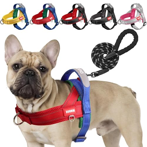 LiebeDD Hundegeschirr mit Leine für Mittelgroße Kleine Hunde Welpen, Bunt Farbblock Geschirr, Mesh Gepolstert Brustgeschirr Hund mit Griff und Brustring, Reflektierend & Leicht, RotBlau, M von LiebeDD