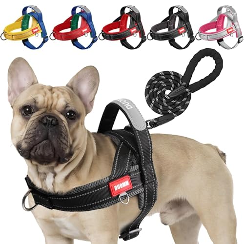 LiebeDD Hundegeschirr mit Leine für Mittelgroße Kleine Hunde Welpen, Bunt Farbblock Geschirr, Weich Gepolstert Sicherheitsgeschirr Hund mit Griff, Reflektierend & Leicht, Schwarz+Grau, M von LiebeDD