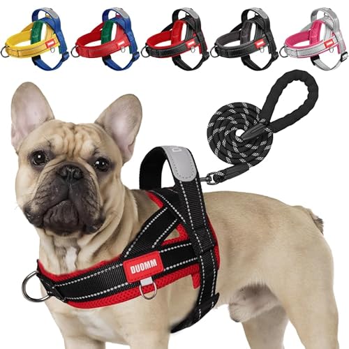LiebeDD Hundegeschirr mit Leine für Mittelgroße Kleine Hunde Welpen, Bunt Farbblock Geschirr, Weich Gepolstert Sicherheitsgeschirr Hund mit Griff, Reflektierend & Leicht, Schwarz+Rot, S von LiebeDD