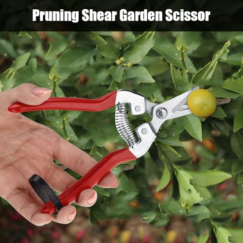 LiebeWH 1pc Robuste Obstbaum Bonsai Gebogene Schnittschere, Gartengeschnittene Schergartenschere Pruner Tool Straight Vane/Wing (Befestige deinen Kopf) von LiebeWH