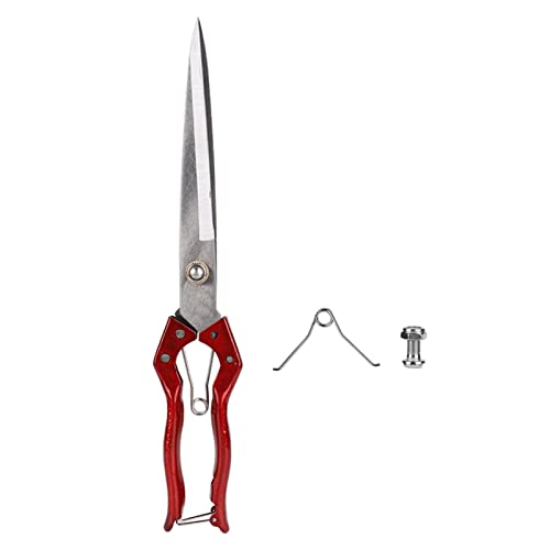 Schafschere, Lange Klinge, Federbelastete Schafwolle-Trimmschere für Viehleder, 340 Mm, Manuelle Schaftrimmschere für Effizientes Leder- und Viehtrimmen Schafschere, Lange Klinge, Federbelastete Schafwolle-Trimmschere für Viehleder, 340 Mm, Manuelle Schaftrimmschere für Effizientes Leder- und Viehtrimmen von LiebeWH
