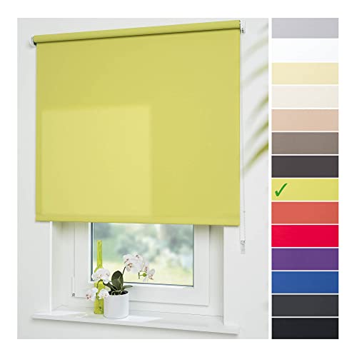 Liedeco® Rollo, Fenster Rollo, Kettenzug-Rollo / 112 x 180 cm (Breite x Höhe), blattgrün / lichtdurchlässig, Blickdicht / viele Farben, Größen und Typen / Breiten 60-200 cm / Variable Montage möglich von Liedeco