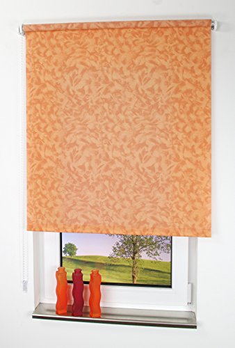 Liedeco® Rollo, Fenster Rollo, Kettenzug-Rollo / 62 x 180 cm (Breite x Höhe), Terra Dekor Wolken/Stoff mit Dekor, Lichtdurchlässig, Blickdicht/viele Farben, Größen und Typen/Breiten 60-200 cm von Liedeco