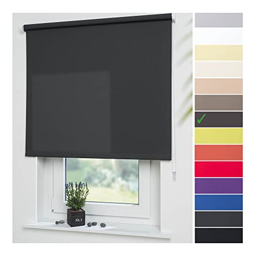 Liedeco® Rollo, Fenster Rollo, Kettenzug-Rollo / 62 x 180 cm (Breite x Höhe), dunkelgrau/lichtdurchlässig, Blickdicht/viele Farben, Größen und Typen/Breiten 60-200 cm/Variable Montage möglich von Liedeco