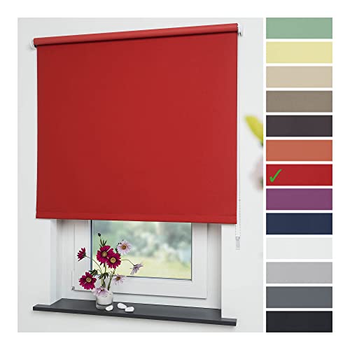 Liedeco® Rollo, Fenster Rollo, Kettenzug-Rollo / 82 x 180 cm (Breite x Höhe), rot/Verdunkelnd, Abdunkelnd, Blickdicht/viele Farben, Größen und Typen/Breiten 60-200 cm/Variable Montage möglich von Liedeco