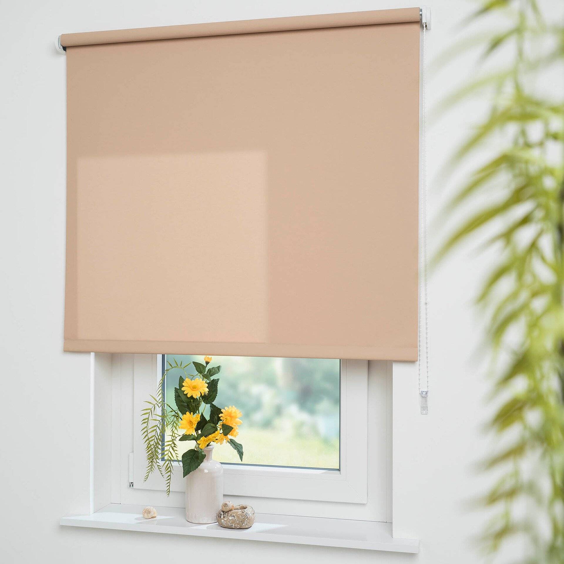 Seitenzug-Rollo Uni Tageslicht Seitenzug-Rollo Uni Tageslicht von Liedeco