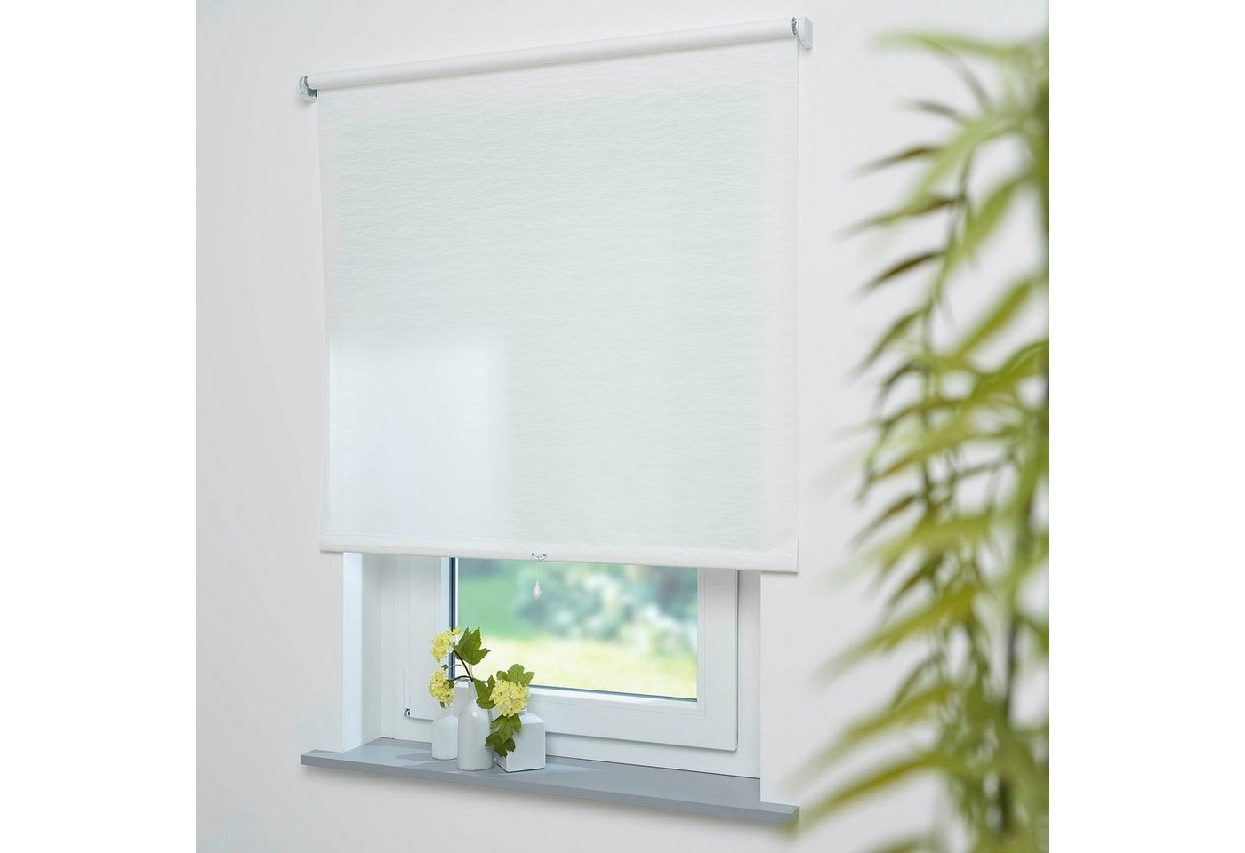 Springrollo Springrollo, mit Dekor, lichtdurchlässig, Faden weiß, Liedeco, Liedeco, Lichtschutz, ohne Bohren, freihängend, verschraubt, Dekorrollo Hergestellt in Deutschland Springrollo Springrollo, mit Dekor, lichtdurchlässig, Faden weiß, Liedeco, Liedeco, Lichtschutz, ohne Bohren, freihängend, verschraubt, Dekorrollo Hergestellt in Deutschland von Liedeco