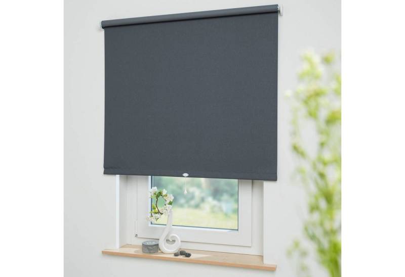 Springrollo Uni, Liedeco, verdunkelnd, mit Bohren, freihängend, verschraubt, Rollowelle 36 mm, starke Feder von Liedeco