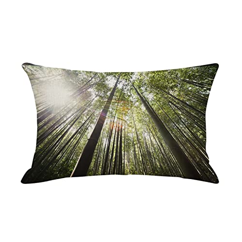 Lieson Couchkissen 30x50, Sofakissen Leinen Sonnenlicht Wald Kissenbezug Kissenhülle Dekokissen Kissenbezüge für Sofa Gartenbett Couch Kissen, Grün Grau von Lieson