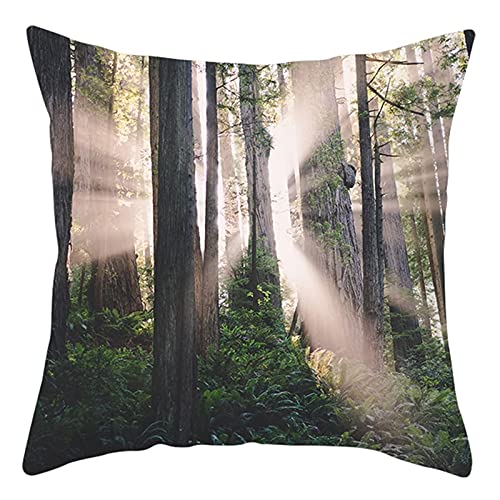 Lieson Kissenbezug Weihnachten, Kissenbezug 40x40 Weihnachten 1 Stück Couchkissen Grün Grau Wald Pflanzen Sonnenschein, Polyester von Lieson