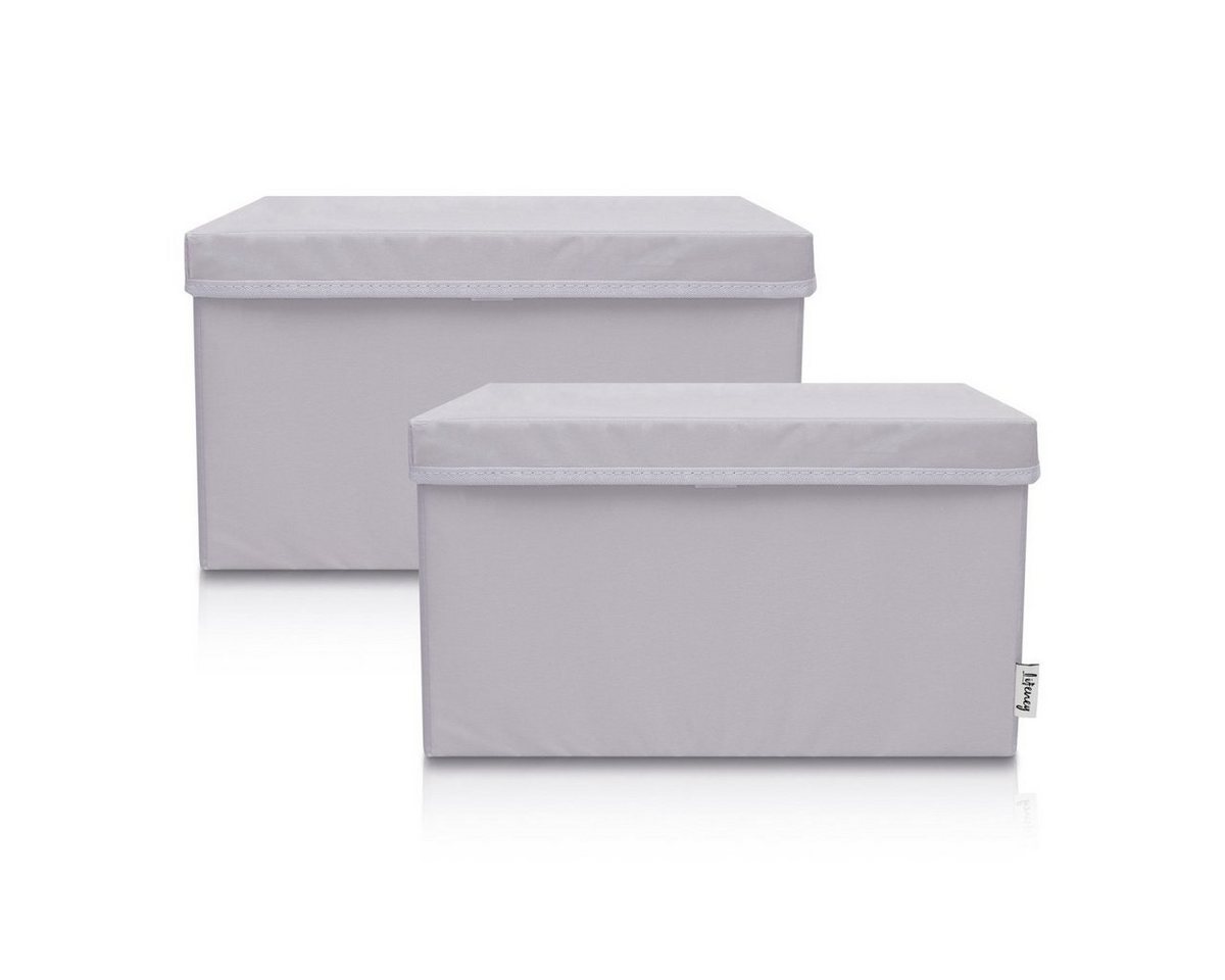 Lifeney Faltbox Aufbewahrungsbox, Hellgrau, groß, 2er Set von Lifeney