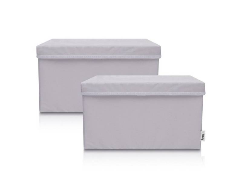 Lifeney Faltbox Aufbewahrungsbox, Hellgrau, groß, 2er Set Lifeney Faltbox Aufbewahrungsbox, Hellgrau, groß, 2er Set von Lifeney