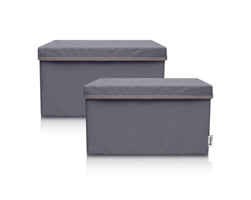 Lifeney Faltbox Aufbewahrungsbox, Dunkelgrau, groß, 2er Set von Lifeney