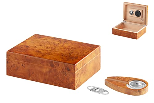 Lifestyle-Ambiente Madrona-Finish Humidor-Set Cigarrito V-210 inkl Tastingbogen von Lifestyle-Ambiente