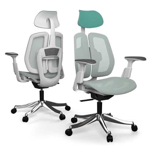 Liftor Active Ergonomischer Bürosessel: Verstellbarer Bürostuhl - Lendenstütze, dynamisches Sitzen, 3D Armlehnen, Ergonomischer Schreibtischstuhl für bis zu 185cm und 150 kg (Mesh, Hellgrün) von Liftor