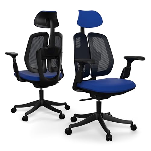 Liftor Active Ergonomischer Bürosessel: Verstellbarer Bürostuhl - Lendenstütze, dynamisches Sitzen, 3D Armlehnen, Ergonomischer Schreibtischstuhl für bis zu 185cm und 150 kg (Mesh + Textil Sitz, Blau) von Liftor