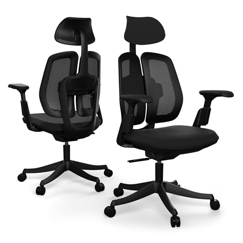 Liftor Active Ergonomischer Bürosessel: Verstellbarer Bürostuhl - Lendenstütze, dynamisches Sitzen, Ergonomischer Schreibtischstuhl für bis zu 185cm und 150 kg (Mesh + Textil Sitz, Schwarz) von Liftor