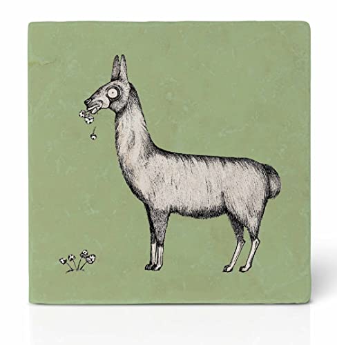 Ligarti® Natursteinfliese (100% Marmor) Als hochwertiger Untersetzer für Getränke, Töpfe oder als Wandbild | Design Fliese mit Vlies in 10x10cm | von Ligarti