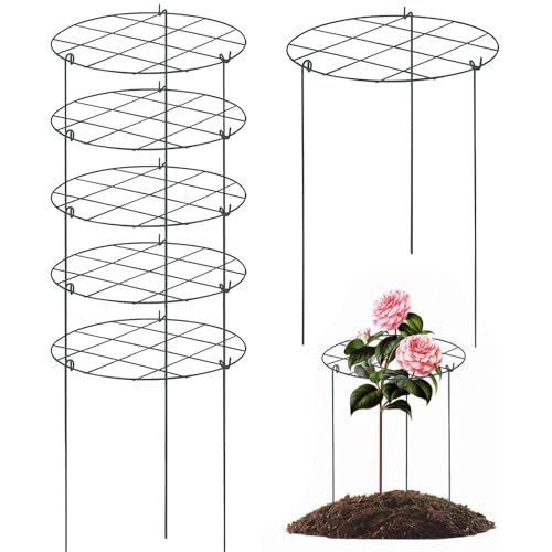 6 PCs Pfingstrosenkäfige und unterstützt Hochleistungs -Pfingsträger -Stützkäfig mit 3 Beinen wachsen durch Pflanzenstützen Ring für Gemüse Rose Außenpflanzen 15, 8 * 11, 8 -Zoll -Stützkäfig von Ligeinsrk