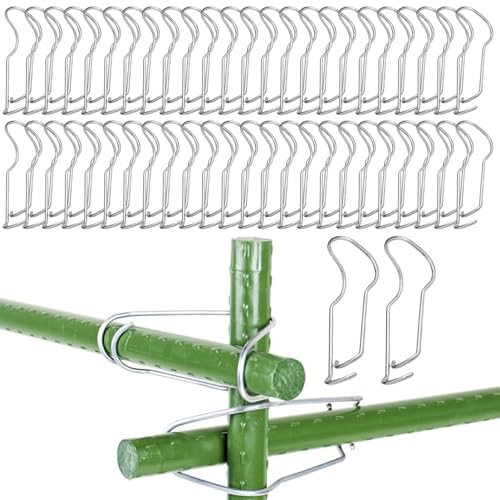 Ligeinsrk 50pcs Pflanzenstützclips, Edelstahl -Gitterclips, Gartenhaufen Anschlussschnallen für Bambusstabs -Steckdosen Steckverbinder Montageanlage Ligeinsrk 50pcs Pflanzenstützclips, Edelstahl -Gitterclips, Gartenhaufen Anschlussschnallen für Bambusstabs -Steckdosen Steckverbinder Montageanlage von Ligeinsrk