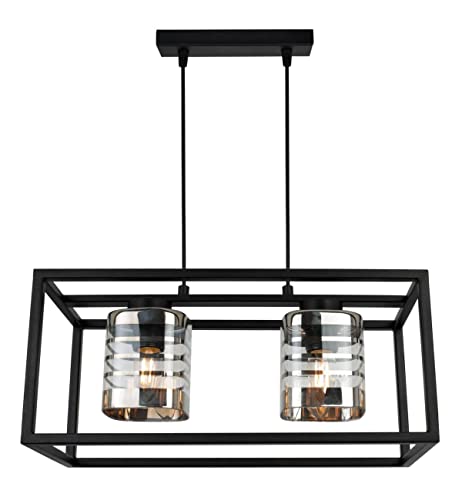 Light-Home Helix Cage Hängelampe - Deckenlampe für Wohnzimmer Schlafzimmer und Esszimmer- Pendelleuchte aus Metall und Glas - E27-2-Flammig von Light Home LH