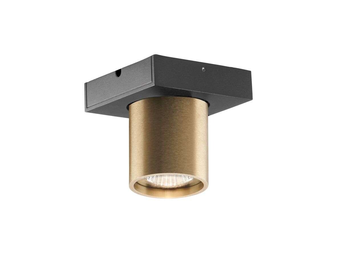 LIGHT-POINT - Focus 1 LED Deckenleuchte 3000K Brass Light-Point von Light-Point