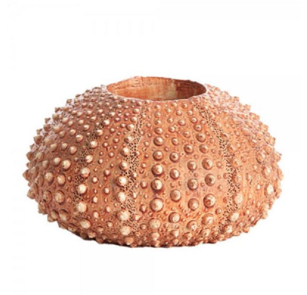 Light & Living Kerzenhalter Teelichthalter Seeigel Sea Urchin Rot (12cm) von Light & Living